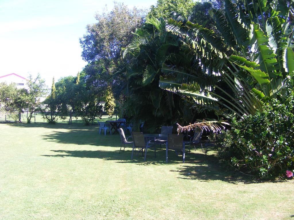 Bargara Motor Inn - Pet Friendly Rum bild